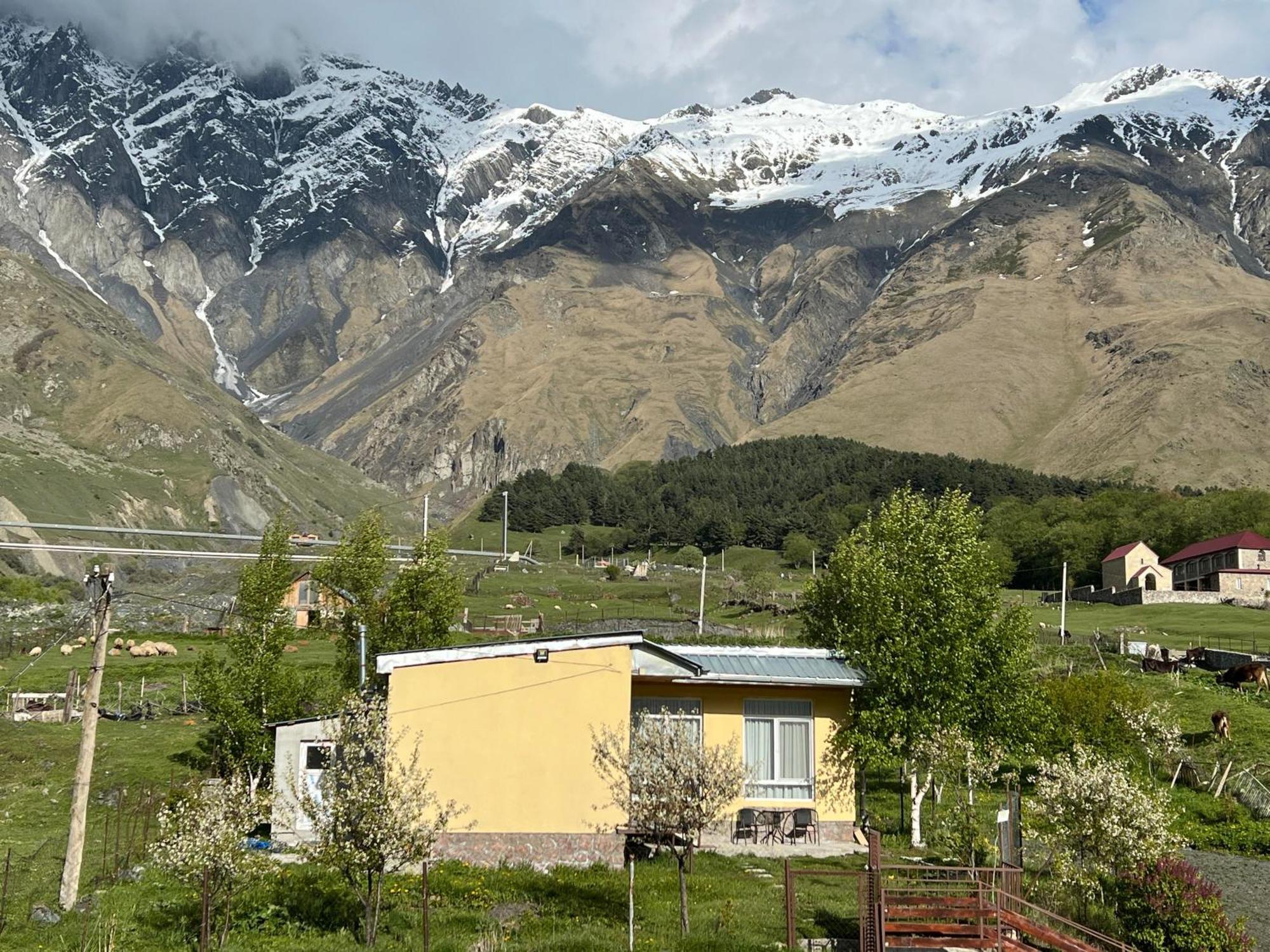 Mountain Kazbegi Apartment Eksteriør bilde
